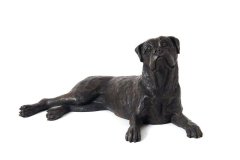 bronze dog urn - boxer