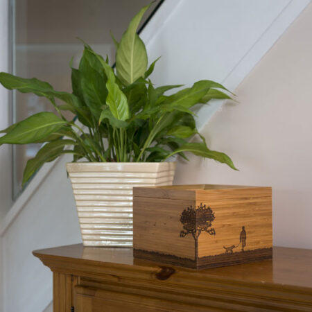 Tribute Boxes & Framed Urns