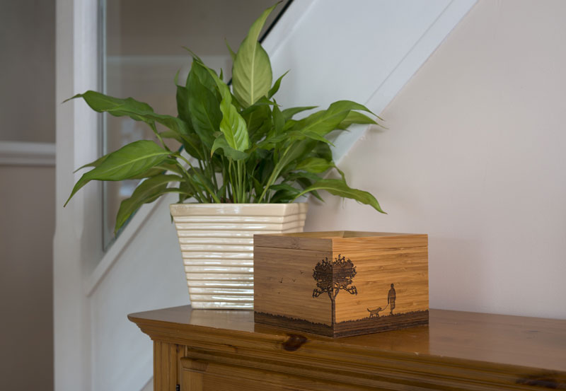 Pet tribute box