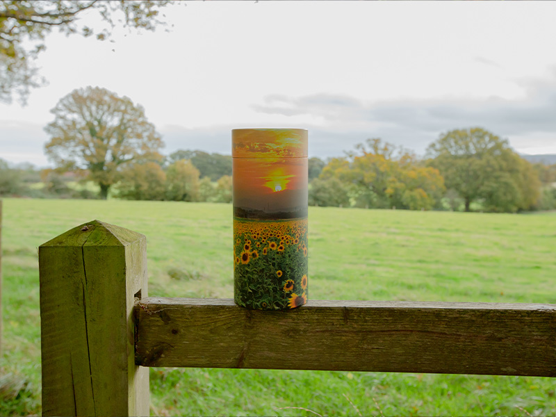 sunflower scatter tube