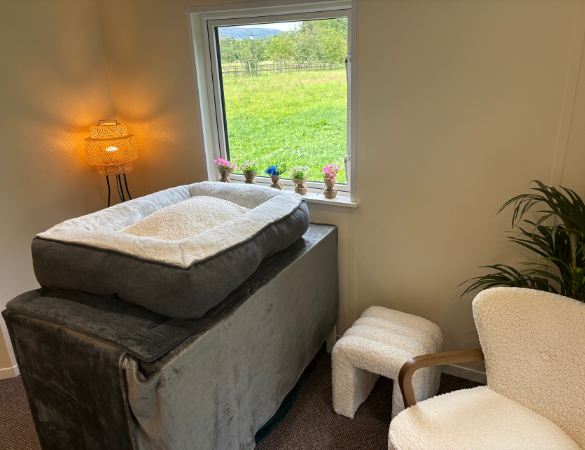 Cherished Companion farewell room