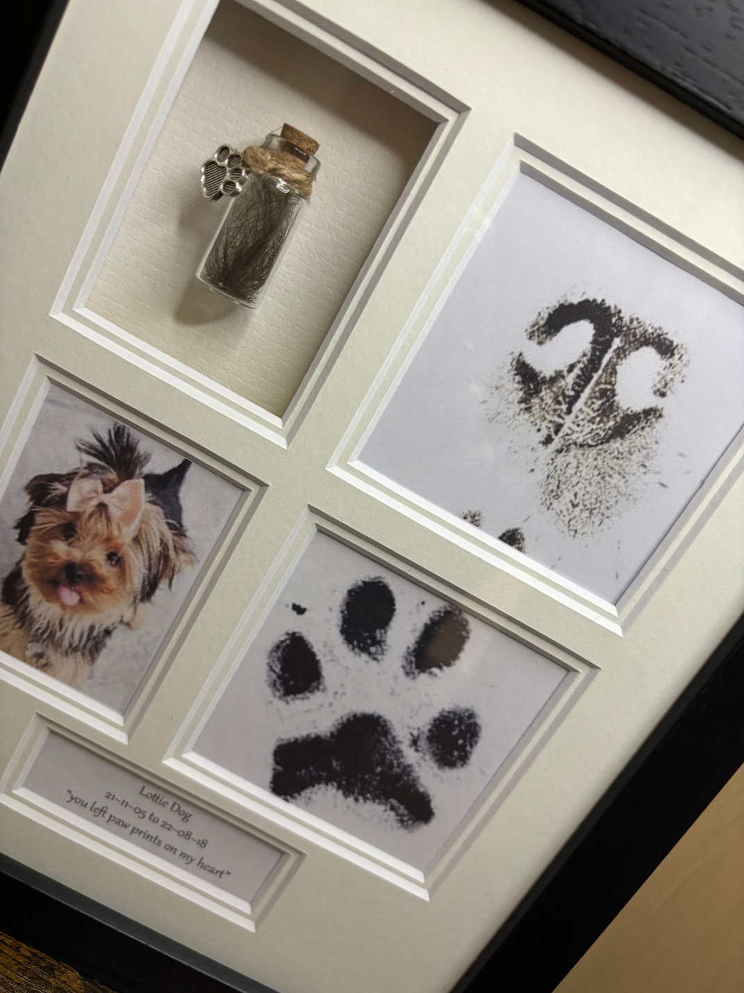 complete print and hair frame 1