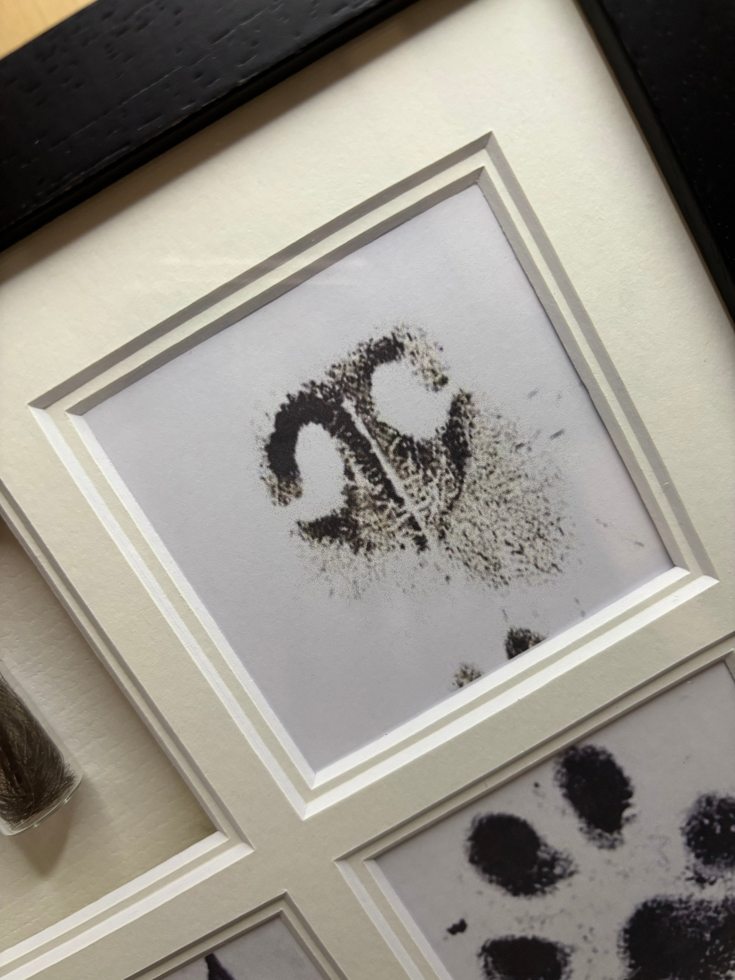 complete print and hair frame 2