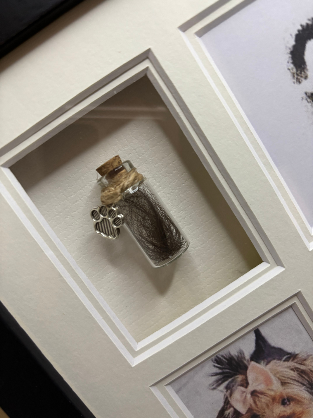 complete print and hair frame 3