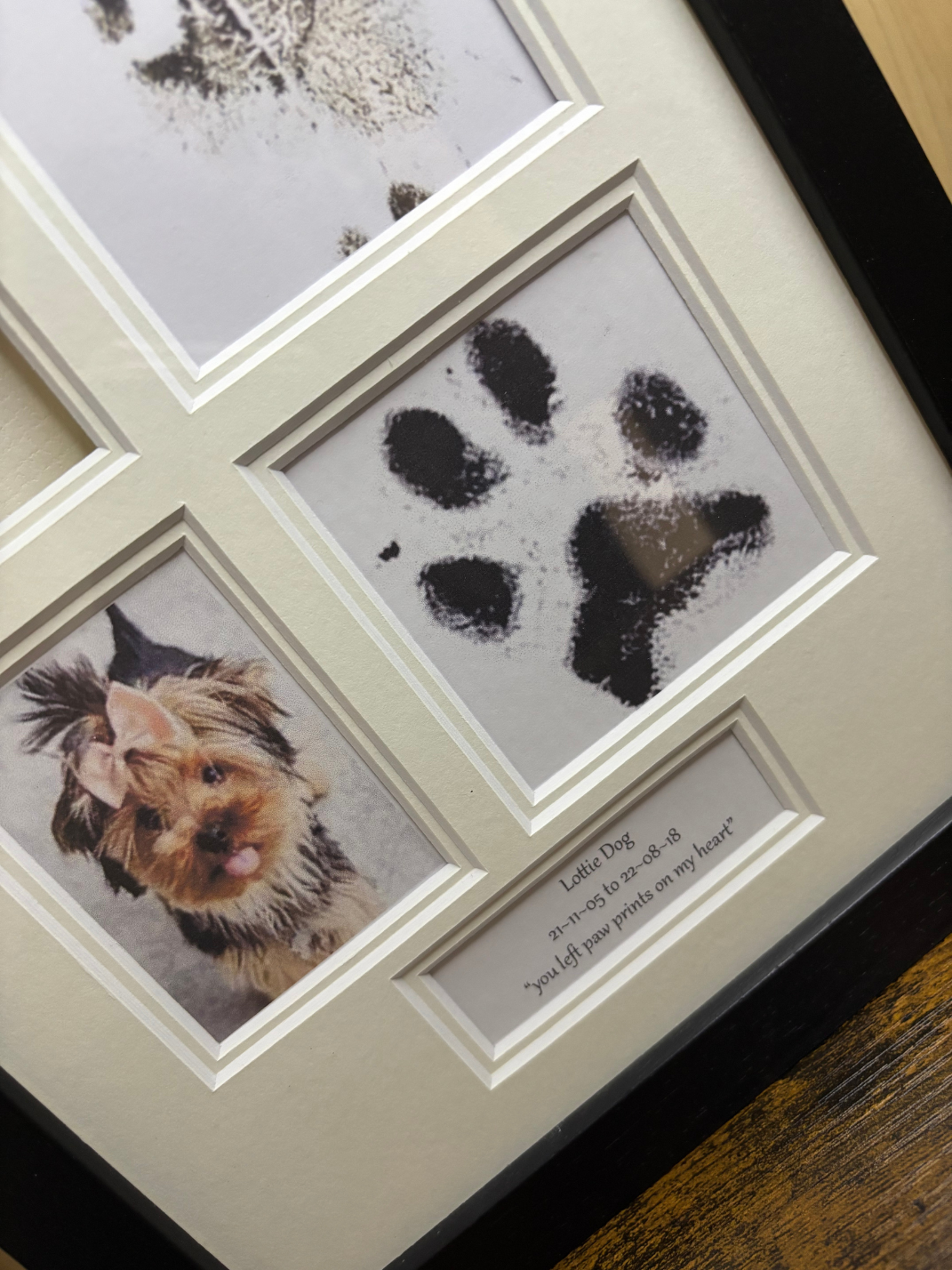 complete print and hair frame 4