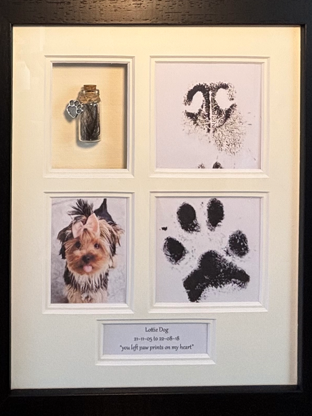 complete print and hair frame