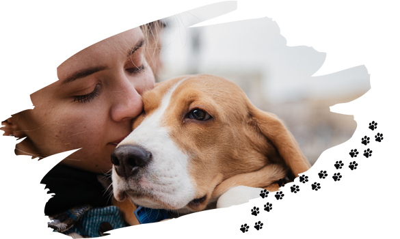 the farewell room pet cremation services Glossop